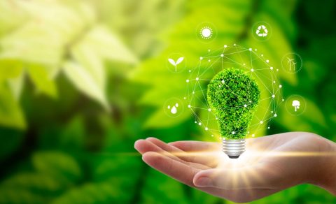 Sustainability and the Architect Schemmer