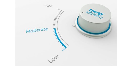 operate firm company Schemmer