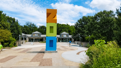 Sustainable Design That Works in the Real World