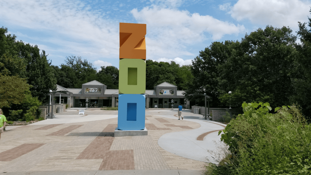 Rain Gardens, Bioretention and Traditional Pipes