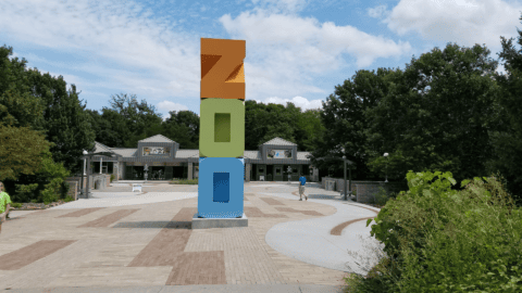 Rain Gardens, Bioretention and Traditional Pipes